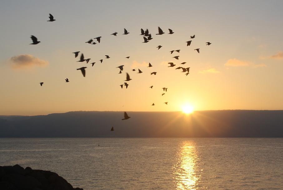 Sonnenaufgang am See Genezareth / pixabay/BRBurton Sonnenaufgang am See Genezareth
