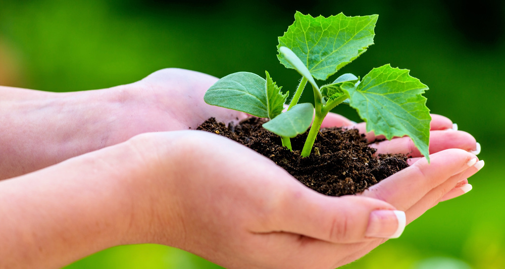 Umwelt, Ökologie / bilderbox.com / Erwin Wodicka Kirchen schreiben Umweltpreis für Mobilität und Biodiversität aus
