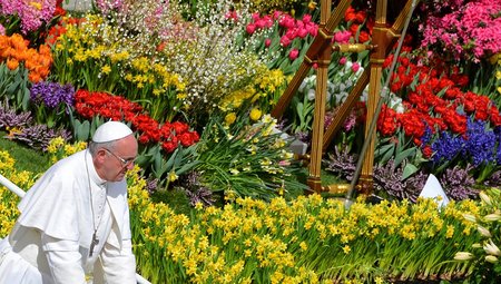 Papst hat Blick auf die Schöpfung nachhaltig verändert
