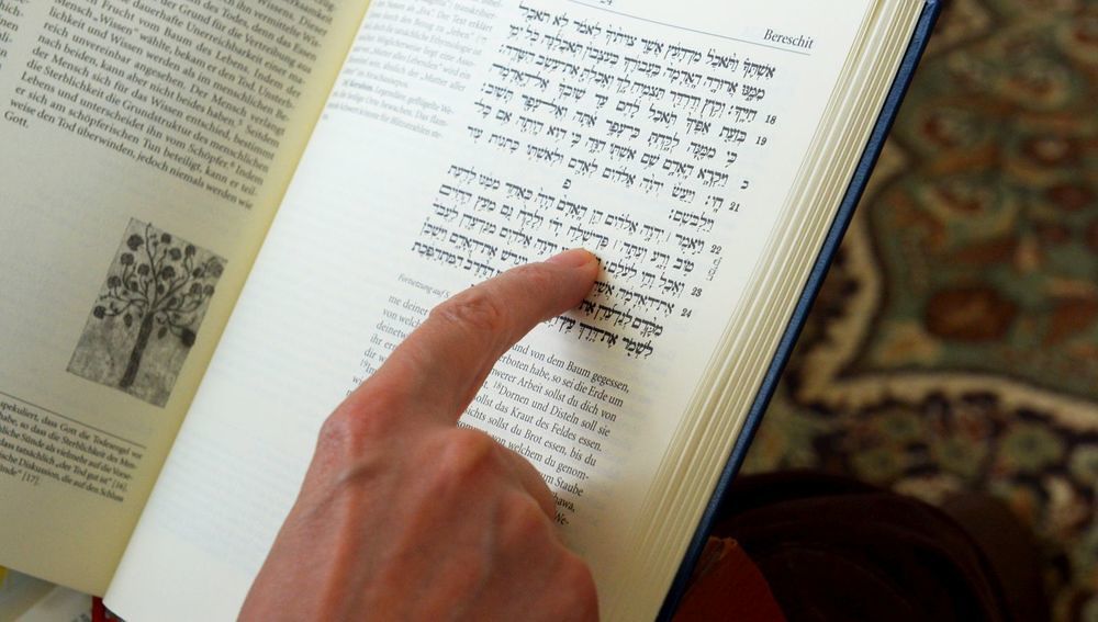 Viele neue Übersetzungen: Bibel gibt es nun in 769 Sprachen